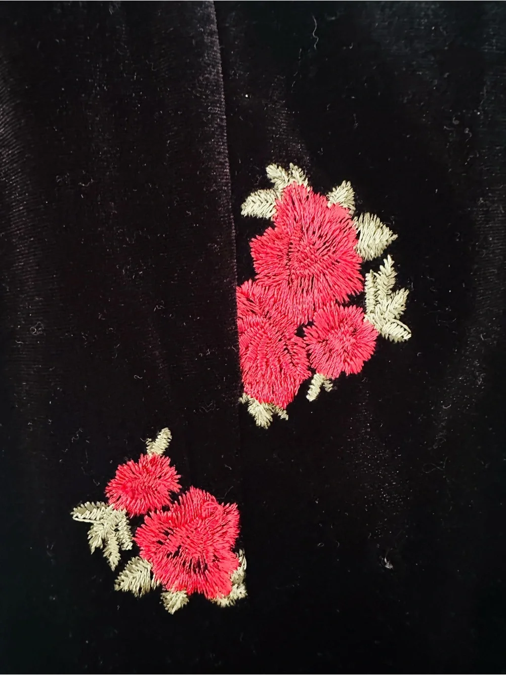Francescas Collections black velvet